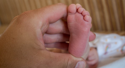 the newborn baby leg in father's hands
