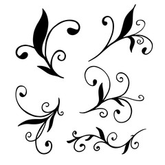Hand drawn flourish design elements