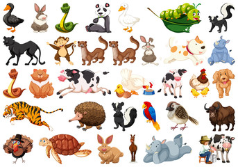 Large set of animals