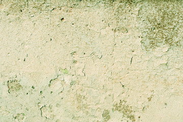 Grunge old painted wall of the house close up green color toned. Abstract background