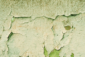 Obraz premium Grunge old painted wall of the house close up green color toned. Abstract background