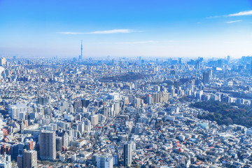 Fototapeta premium 東京の都市風景