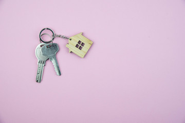 Buying a house, building repair and mortgage concept. Estimation real estate property with loan money and banking. Keys on trendy pink background. 