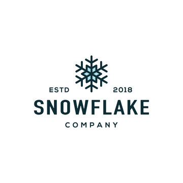 Snow logo design vector.