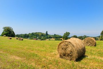 Agricultural landscape with round hay bale