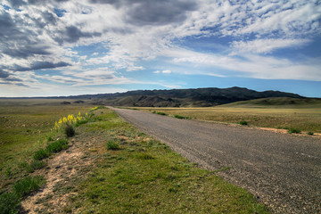 Fototapeta premium Road in Kazakhstan steppe