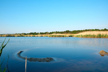 therapeutic lake with iodine and minerals