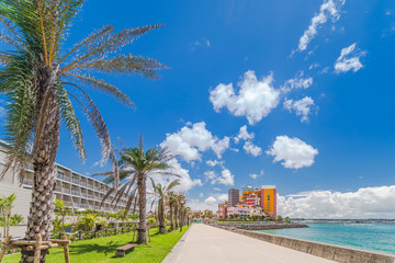 Beach coast lined with palm trees of Distortion Seaside, Oak fashion, Depot Island Seaside buildings and Vessel Hotel Campana in the vicinity of the American Village in Chatan City of Okinawa. - obrazy, fototapety, plakaty