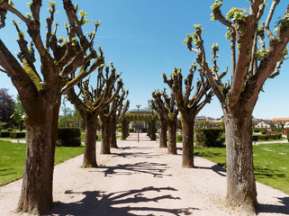 Parc floral et jardins publics de la ville de Lapalisse dans l'Allier. Les allées du parc floral autour du kiosque  