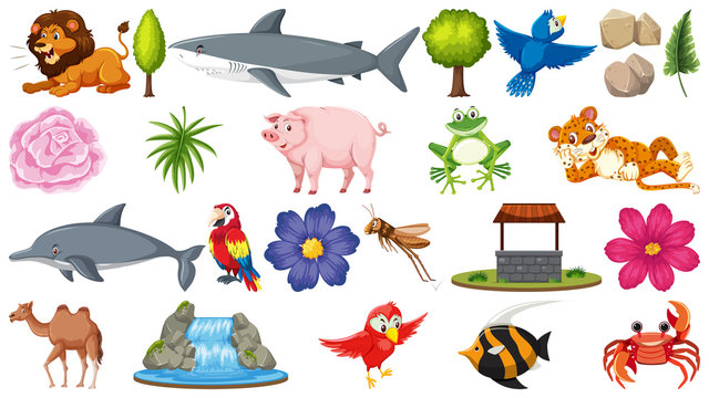 Set of different animals and nature