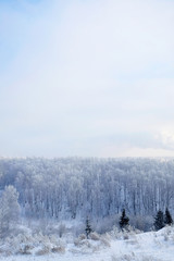winter landscape with trees and snow