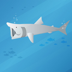basking shark