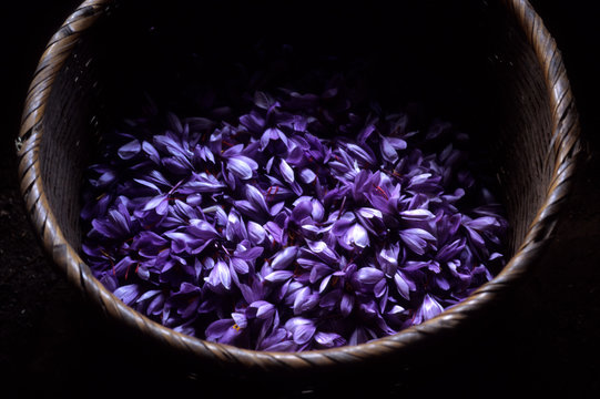 日本の伝統食品、サフラン、サフランのめしべを取った後の花びら