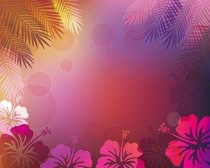 Fototapeta na wymiar vector background of Palm leaves and hibiscus