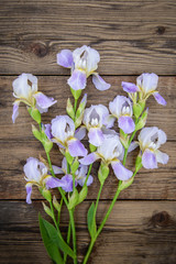 Purple flowers irises on wooden background