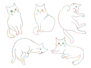 rainbowcat