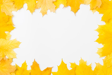 Autumn season abstract background. Fall yellow maple leaves arranged in square shape frame on white surface. Copy space.