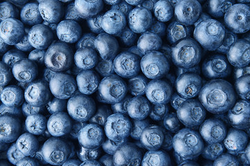 Many ripe blueberry as background