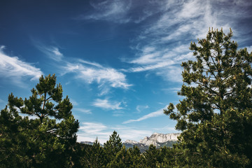 Fototapeta na wymiar Paysage de montagne dans la Drome, France