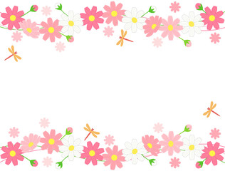 コスモス17 © Rica Nohara