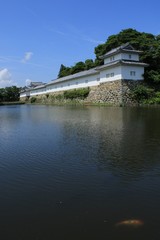 Fototapeta na wymiar 滋賀県彦根市の佐和口多聞櫓とお堀を泳ぐ錦鯉
