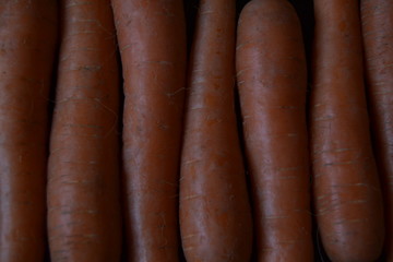 sweet, fresh organic carrot on the dark background. healthy natural food. 