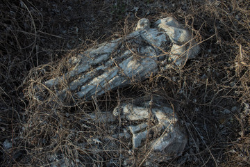  fragments of the statue in ivy