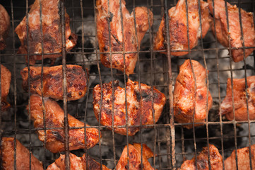 Kebabs pork on the grill with smoke close-up. Chunks of barbecue meat on the fire. Backyard, concept of rest, meat, summer, copy space.