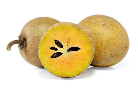 sapodilla fruit isolated onwhite