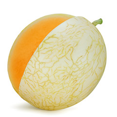 Cantaloup isolated on white background