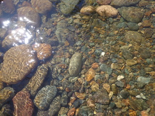 Clear water with pebbles and fish