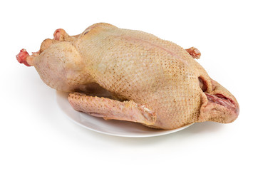 Uncooked gutted carcass of domestic goose on white background © An-T