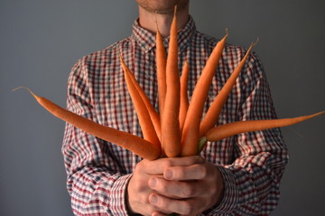 Obraz premium man in a plaid shirt holds bunch of fresh organic young carrots.