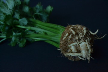 young root celery on the dark background