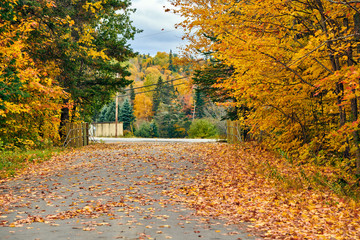 Driveway at autumn day in Maine, USA.