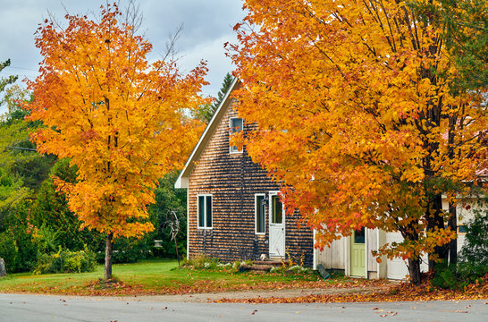 Driveway at suburban neighborhood. Autumn day in Maine, USA.