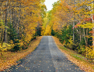 Fototapeta na wymiar Autumn road in Maine, USA.