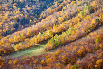 View from Artist's Bluff in autumn. Fall colours in Franconia Notch State Park. White Mountain...