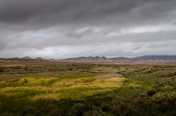 algerian landsacpe