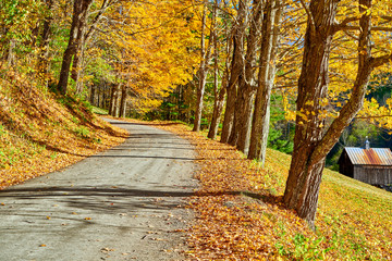 Naklejka na ściany i meble Dirt unpaved gravel road at autumn day in Vermont, USA.