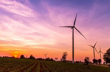 Wind turbines electric power generator on sunset sky at agriculture field