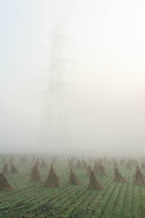 朝霧と田園の収穫後のオブジェと鉄塔