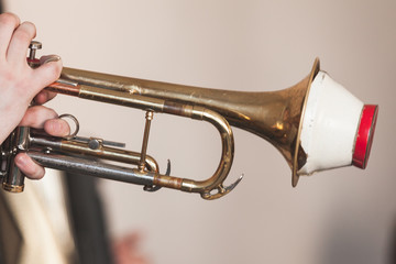 Fototapeta na wymiar Trumpet with straight mute