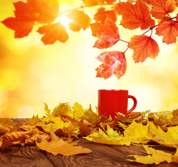 Autumn leaves and red cup of coffee .