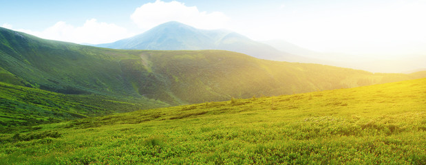Mountains landscape in the summer