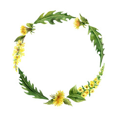 Watercolor hand vector painted wreath with meadow plants.