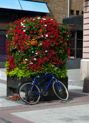 Fototapeta na wymiar bicycle and flowers town view in Turku, Finland