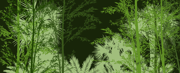 green bamboo and palm trees dark illustration