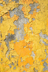 abstract yellow texture old concrete. vintage background 