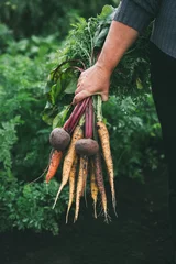 Rolgordijnen Bunch of vegetables in women's hand. Organic carrots and beets. Healthy food. © valya82